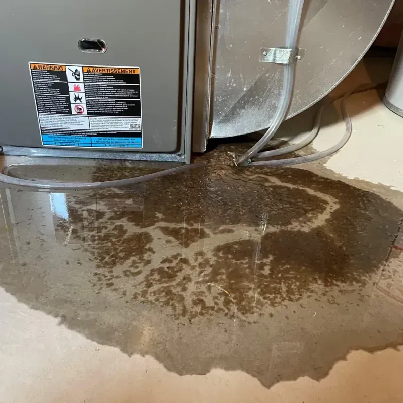 Appliance Leak Cleanup in Palos Park, IL